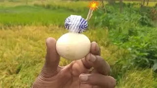 Firecracker Vs Egg Battle  War  Firecracker Power Test