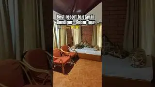 Bandipur Tiger Reserve | Room Tour | Best Place to stay | Safari #bandipurtigerreserve #shorts