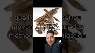 #parfum #parfumoud #oudparfum #mati&egrave;respremi&egrave;res #aoud ##oudmatierpremiere #oudfragrance #boisdeoud