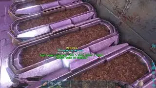 ARK LIVE: Turkey Event