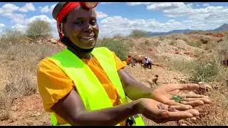 MinDiver:   Optimising Access to Geoscience Data in the Nigerian Mining Sector