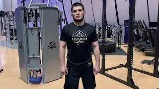 Gorilla Fighting Championship