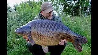 CARP fishing in the weed