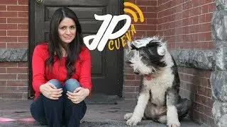 #16 - The JPCueva Show - Daniela Gomez