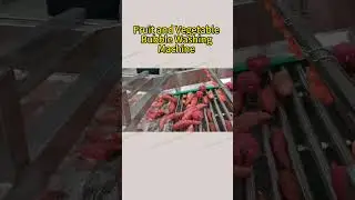 Fruit and Vegetable Bubble Washing Machine.Fruit cleaning machine #fruitwashingmachine #foodmachine