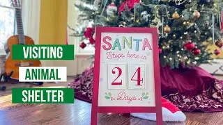 Visiting  and Donating Food to the Animal Shelter  - Christmas 2022 - Vlogmas
