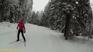 Heikkila 2018