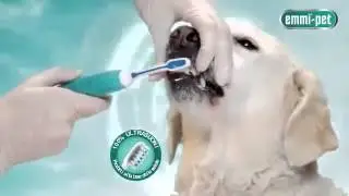 Emmi-pet Spazzolino a Ultrasuoni per Cani Italiano - SmileNowForever