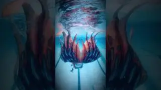 #mermaid #swimming in #firestone by #finfolkproductions & #merbellastudios 🔥