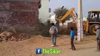Green Tree Cutting in Sikar City, Rajasthan
