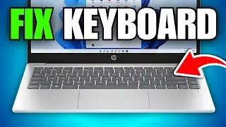 How To Fix Keyboard Not Working On HP Laptop