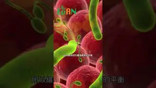 減少壞習慣可以促進腸道菌的多樣性和豐富性#艾門享受健康計畫 #飲食計畫 #減肥 #瘦身 #健康  #蔬果漾 #優菌多 #亮妍肌漾