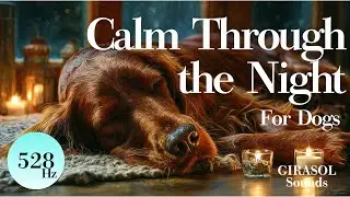 Nighttime Calming Music for Dogs | Separation Anxiety Relief | 12H