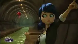 🐱🐞Miraculous Ladybug🐞🐱