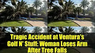Tragic Accident at Ventura's Golf N' Stuff: Woman Loses Arm After Tree Falls