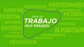 USANA HPS - Tu h&iacute;gado es tu filtro