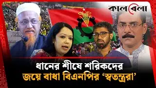 ধানের শীষে শরিকদের জয়ে বাধা বিএনপির &lsquo;স্বতন্ত্ররা&rsquo; | BNP independent candidate | Election Update
