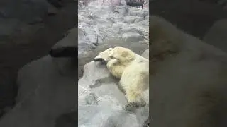 寝かせといてな😊Do not wake him up