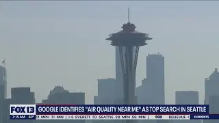 Google identifies the top searches in Seattle | FOX 13 Seattle