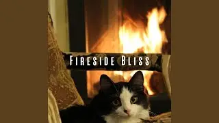 Fireside Melodies at Night