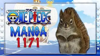 Welche mysteri&ouml;se Macht verstecken Eichh&ouml;rnchen? - One Piece Manga Kapitel 1171 Review und Theorien