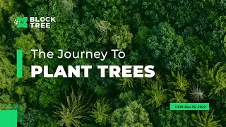 The journey to plant trees of BlockTree -  Results in Fund 8 Catalyst