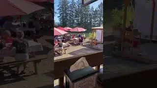 Hidden Gem Lunch Spots in Oregon | Riverside Fish & Chips Nehalem OR
