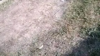 друг у нас прервал ведос