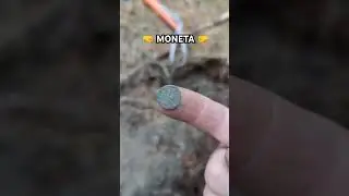#metaldetecting #history #coin #hobby #forest #nature
