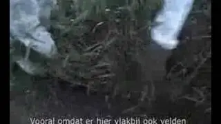 Vernietigen van gentech gewassen (Engeland)