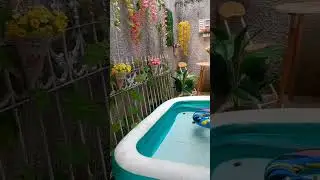 #backyard #backyardgardening #backyardgarden #backyardinspiration #backyarddecor#plungepool