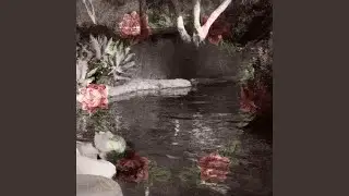Tranquil Meditations of Purity