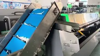 Cat stick bags sorting machine | sachets sorter counter machine exported to Canada 