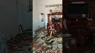 OMG The house was full of snakes and reptiles.