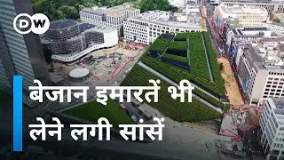 Green buildings in lifeless cities [Green buildings for cities]