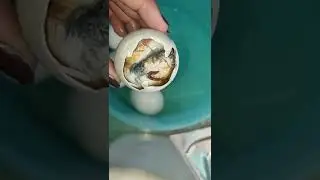 A must try! 🥚🦆#duckembryo #balut #shortsvideo #viralshorts #shorts