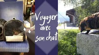 VLOG | J'EMMENE MON CHAT EN VACANCES