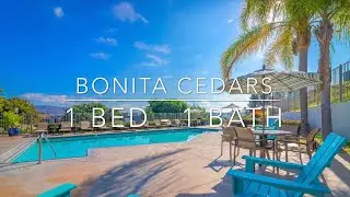 1 Bedroom 1 Bath - 733 Sq Ft - Bonita Cedars
