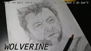 Drawing Wolverine | Fan Art 
