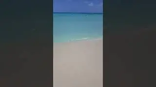 Most beautiful beach in Aruba #shorts #travel