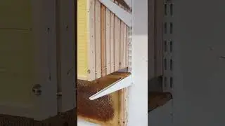Mein Wabenlager. Viel Platz auf wenig Raum - Imkern auf Dadant