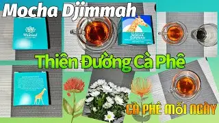 C&agrave; Ph&ecirc; MOCHA DJIMMAH | Whittard | Single Origin | Thi&ecirc;n Đường C&agrave; Ph&ecirc;