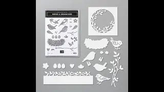 Birds & Branches Bundle From Stampin' Up!