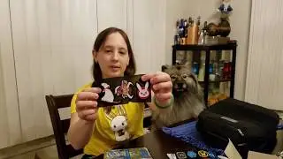 Blizzcon 2017 Epic Goody Bag