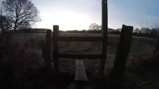 Bookham Common Walk