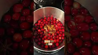 Cranberry Spice Syrup Recipe | Easy Holiday Cocktail Syrup (Ginger, Cinnamon & Anise) | On Y Va 🤙🏾