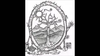 Sleepy Trees - Coddlefish Foxrotter - Entire Album