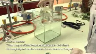 6 20 4  Hideg halak -- a kopolty&uacute; &eacute;s a sz&aacute;jmozg&aacute;s f&uuml;gg&eacute;se a v&iacute;z hőm&eacute;rs&eacute;klet&eacute;től