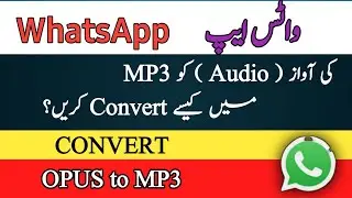 Whatsapp Audio Call | Convert Whatsapp Audio To Mp3 in Urdu/hindi | Opus To Mp3 | 4U STUDIO TECH