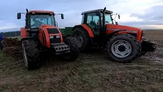 Zimowe obowiązki bez zimy 2023[Codzienne obowiązki przy bydle]
